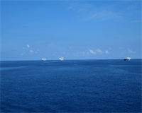 網(wǎng)站建設(shè)模板如何避免同質(zhì)化